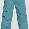 Horsefeathers Spire Ii Pants Blauw