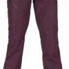 Volcom Hallen Pants Rood