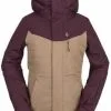 Volcom Pine 2l Tds Inf Jacket Bruin